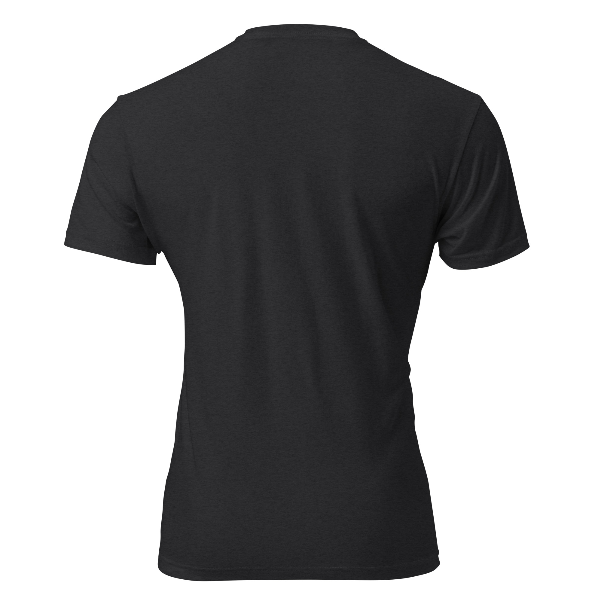 Unisex Fitted T-Shirt - Next Level 6210 - Image 3